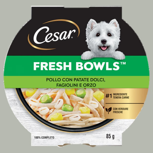 Alimento umido Cesar Fresh Bowls Pollo Patate Dolci Fagiolini Orzo 85 g per cani adulti Alimento umido Cesar Fresh Bowls Pollo Patate Dolci Fagiolini Orzo 85 g per cani adulti